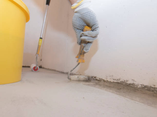 Best Termite Inspection and Treatment  in Medical Lake, WA